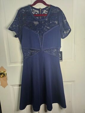 Express Navy Lace Yoke Mini Dress